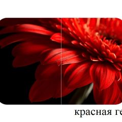 БОСТОН опоры Триумф в Первоуральске - pervouralsk.mebel24.online | фото 27