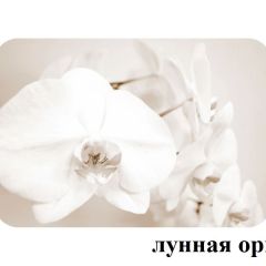 БОСТОН опоры Триумф в Первоуральске - pervouralsk.mebel24.online | фото 33