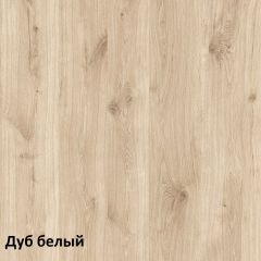 Эйп Шкаф для одежды 13.334 в Первоуральске - pervouralsk.mebel24.online | фото 5