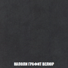 Кресло-кровать Виктория 3 (ткань до 300) в Первоуральске - pervouralsk.mebel24.online | фото 38