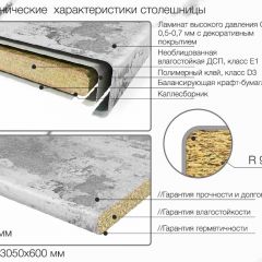 Кухонный фартук со столешницей (А-010) в едином стиле (3050 мм) в Первоуральске - pervouralsk.mebel24.online | фото 7