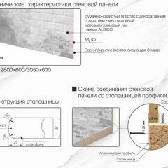 Кухонный фартук со столешницей (А-010) в едином стиле (3050 мм) в Первоуральске - pervouralsk.mebel24.online | фото 6