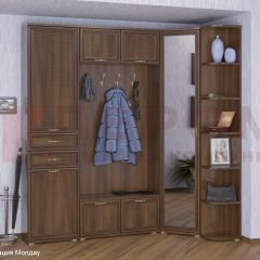 Прихожая Карина композиция 3 (Акация Молдау) в Первоуральске - pervouralsk.mebel24.online | фото