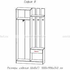 Прихожая София 8 в Первоуральске - pervouralsk.mebel24.online | фото 2