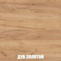Шкаф 2-х створчатый МСП-1 (Дуб Золотой/Камень темный) в Первоуральске - pervouralsk.mebel24.online | фото 4