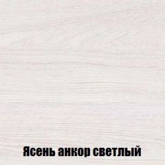 Шкаф 2-х створчатый МСП-1 (Ясень Анкор светлый) в Первоуральске - pervouralsk.mebel24.online | фото 4