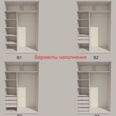 Шкаф-купе 1300 серии SILVER S3+S4+B2+PL4 (2 ящика+F обр.штанга) профиль «Серебро» в Первоуральске - pervouralsk.mebel24.online | фото 5