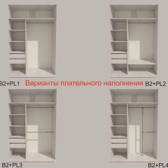 Шкаф-купе 1500 серии SILVER S1+S1+B2+PL2 (2 ящика+1 штанга+1 полка) профиль «Серебро» в Первоуральске - pervouralsk.mebel24.online | фото 6