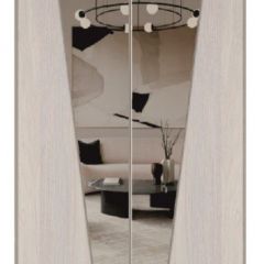 Шкаф-купе 1500 серии SILVER S1+S1+B2+PL2 (2 ящика+1 штанга+1 полка) профиль «Серебро» в Первоуральске - pervouralsk.mebel24.online | фото 12