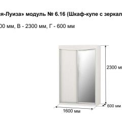 Шкаф-купе 1600 с зеркалом "Мария-Луиза 6.16" в Первоуральске - pervouralsk.mebel24.online | фото 4