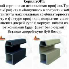 Шкаф-купе 1600 серии SOFT D6+D6+B2+PL3 (2 ящика+2штанги) профиль «Капучино» в Первоуральске - pervouralsk.mebel24.online | фото 12