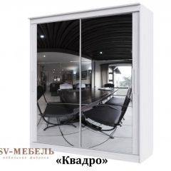 Шкаф-купе №19 Серия 3 Квадро (1700) Ясень Анкор светлый в Первоуральске - pervouralsk.mebel24.online | фото