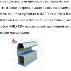 Шкаф-купе 2250 серии SILVER S7+S1+S7Z B22+PL1 (по 2 ящика лев/прав+1штанга) профиль «Серебро» в Первоуральске - pervouralsk.mebel24.online | фото 4