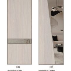 Шкаф-купе 2250 серии SILVER S7+S1+S7Z B22+PL1 (по 2 ящика лев/прав+1штанга) профиль «Серебро» в Первоуральске - pervouralsk.mebel24.online | фото 14