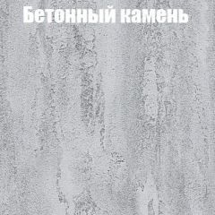 Шкаф-купе Бассо 1.0 (Дуб Крафт серый/Бетонный камень) 2 двери ЛДСП 2 зеркальные вставки в Первоуральске - pervouralsk.mebel24.online | фото 3