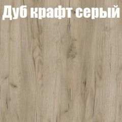 Шкаф-купе Бассо 1.0 (Дуб Крафт серый/Бетонный камень) 2 двери ЛДСП 2 зеркальные вставки в Первоуральске - pervouralsk.mebel24.online | фото 4