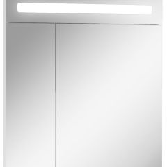 Шкаф-зеркало Аврора 65 с подсветкой LED Домино (DV8006HZ) в Первоуральске - pervouralsk.mebel24.online | фото 1