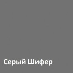 Юнона Шкаф торцевой 13.221 в Первоуральске - pervouralsk.mebel24.online | фото 2