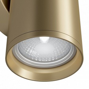 Бра Maytoni Focus S C068WL-02MG в Первоуральске - pervouralsk.mebel24.online | фото 4