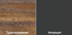 Кухонный гарнитур угловой Трансильвания 2400x1600 мм (Стол. 38 мм) в Первоуральске - pervouralsk.mebel24.online | фото 3