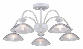 Люстра на штанге Arti Lampadari Noventa Noventa E 1.1.5 W в Первоуральске - pervouralsk.mebel24.online | фото