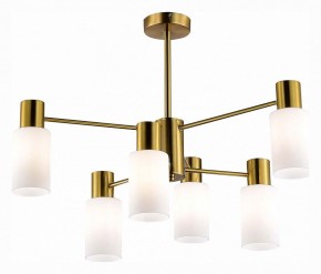 Люстра на штанге EVOLUCE Gessi SLE1139-302-06 в Первоуральске - pervouralsk.mebel24.online | фото 2
