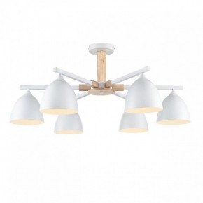 Люстра на штанге Lumion Colange 8095/6C в Первоуральске - pervouralsk.mebel24.online | фото 2