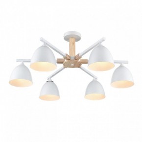 Люстра на штанге Lumion Colange 8095/6C в Первоуральске - pervouralsk.mebel24.online | фото 3