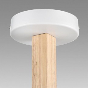 Люстра на штанге Lumion Colange 8095/6C в Первоуральске - pervouralsk.mebel24.online | фото 8