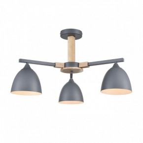 Люстра на штанге Lumion Colange 8096/3C в Первоуральске - pervouralsk.mebel24.online | фото 2