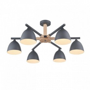 Люстра на штанге Lumion Colange 8096/6C в Первоуральске - pervouralsk.mebel24.online | фото 3