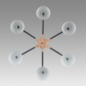 Люстра на штанге Lumion Colange 8096/6C в Первоуральске - pervouralsk.mebel24.online | фото 4