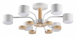 Люстра на штанге Lumion Rondo 8231/6C в Первоуральске - pervouralsk.mebel24.online | фото