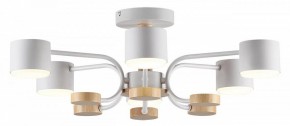 Люстра на штанге Lumion Rondo 8231/6C в Первоуральске - pervouralsk.mebel24.online | фото 2