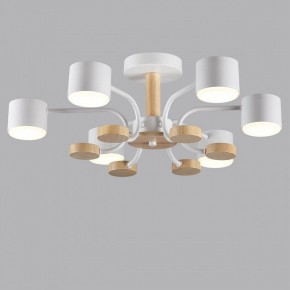Люстра на штанге Lumion Rondo 8231/6C в Первоуральске - pervouralsk.mebel24.online | фото 4
