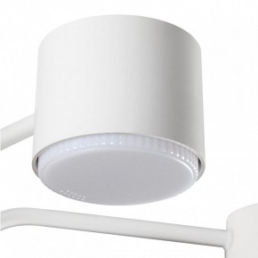 Люстра на штанге Lumion Rondo 8231/6C в Первоуральске - pervouralsk.mebel24.online | фото 7