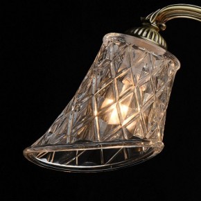 Люстра на штанге MW-Light Ариадна 32 450019105 в Первоуральске - pervouralsk.mebel24.online | фото 10