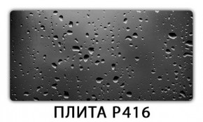 Обеденный стол Паук с фотопечатью узор Плита Р410 в Первоуральске - pervouralsk.mebel24.online | фото 12