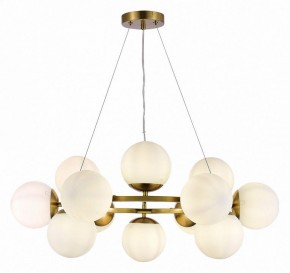 Подвесная люстра EVOLUCE Fratta SLE1191-203-12 в Первоуральске - pervouralsk.mebel24.online | фото 3