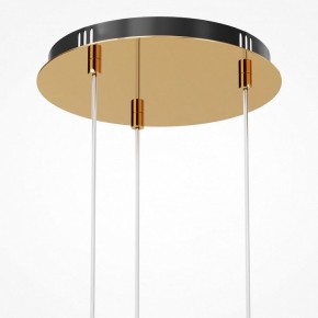Подвесная люстра Maytoni Drop MOD273PL-L33G3K в Первоуральске - pervouralsk.mebel24.online | фото 6