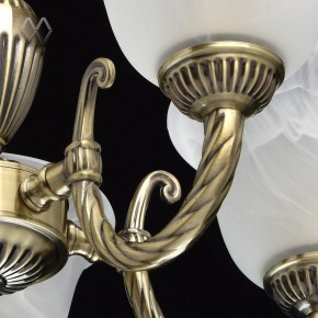 Подвесная люстра MW-Light Ариадна 20 450016305 в Первоуральске - pervouralsk.mebel24.online | фото 6