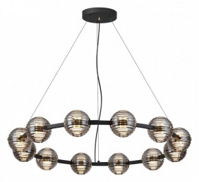 Подвесная люстра Odeon Light Troni 5041/120L в Первоуральске - pervouralsk.mebel24.online | фото 2