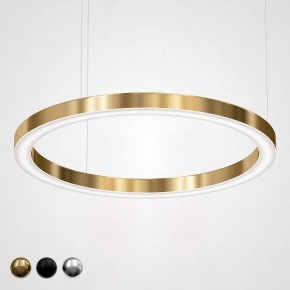 Подвесной светильник Imperiumloft Light Ring Horizontal 40.1454-100 в Первоуральске - pervouralsk.mebel24.online | фото