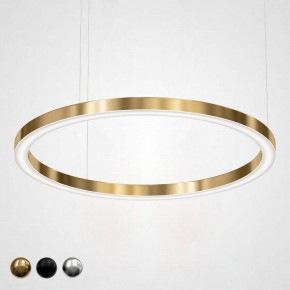 Подвесной светильник Imperiumloft Light Ring Horizontal 40.1454-120 в Первоуральске - pervouralsk.mebel24.online | фото 1