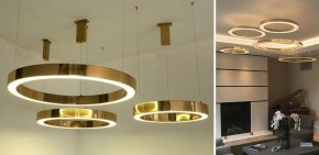 Подвесной светильник Imperiumloft Light Ring Horizontal 40.1454-80 в Первоуральске - pervouralsk.mebel24.online | фото 2