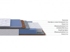 PROxSON Матрас Active Duo M/F (Ткань Трикотаж Эко) 120x200 в Первоуральске - pervouralsk.mebel24.online | фото 1