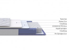 PROxSON Матрас Active Duo S/F (Ткань Трикотаж Эко) 120x190 в Первоуральске - pervouralsk.mebel24.online | фото 2