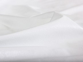 PROxSON Защитный чехол Aqua Save Plush S (Ткань влагостойкая Coral Fleece) 200x220 в Первоуральске - pervouralsk.mebel24.online | фото 6