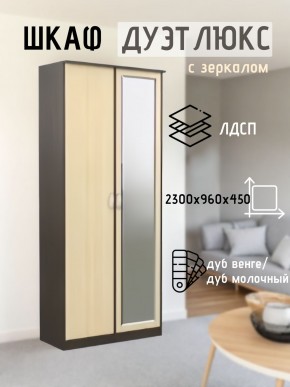 Шкаф 2-х створчатый Дуэт Люкс с зеркалом в Первоуральске - pervouralsk.mebel24.online | фото