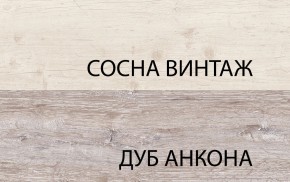 Шкаф 2DG2S, MONAKO, цвет Сосна винтаж/дуб анкона в Первоуральске - pervouralsk.mebel24.online | фото